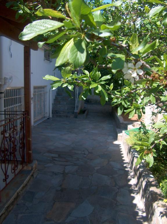 Villa Athenian Spiti Artemida  Zimmer foto